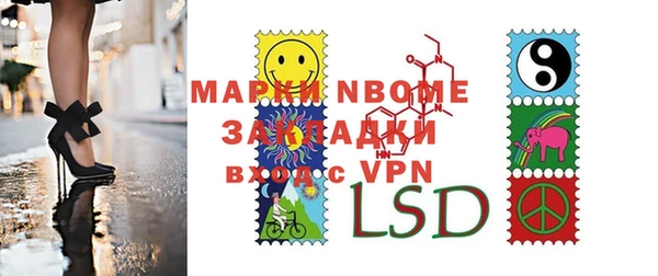дмт Пересвет