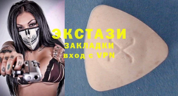 шишки Надым
