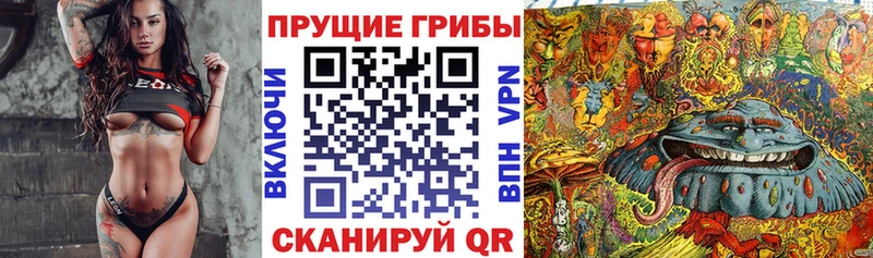 Псилоцибиновые грибы MAGIC MUSHROOMS  магазин    Чехов 