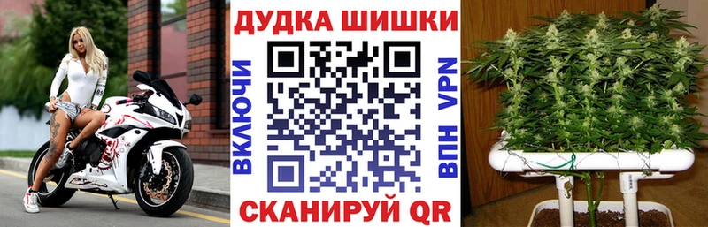 наркошоп  Чехов  Канабис THC 21% 
